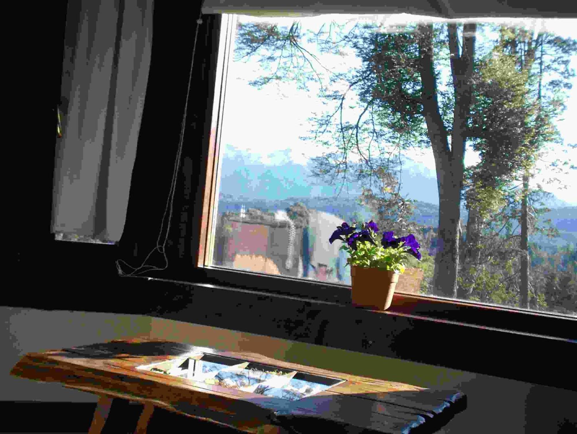 Hosteria Naranjo En Flor Villa La Angostura Esterno foto